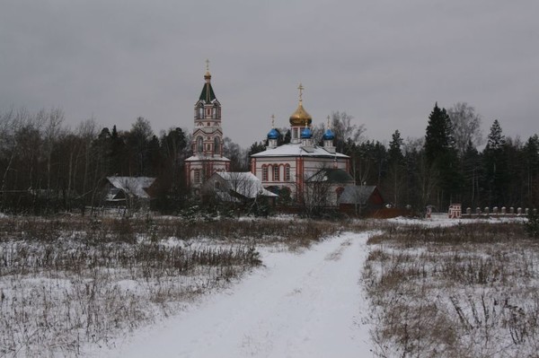 Мечта орехово зуево