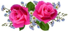 flowers-5443803_640 (286x130, 83Kb)
