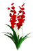 Цветы в PNG