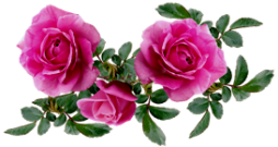 plant-5639352_1280 (254x135, 67Kb)