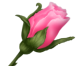 23 (1) (160x132, 25Kb)