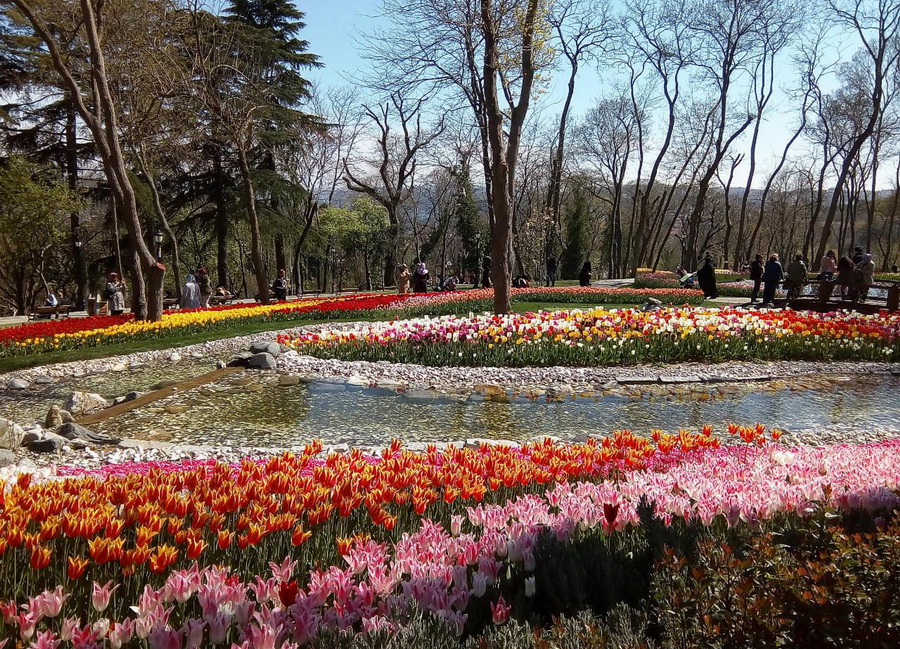 Стамбул весной. Парк Эмирган в Стамбуле(Турция). Парк Эмирган в Стамбуле в апреле. Парк Эмирган фестиваль тюльпанов. Парк Гюльхане в Стамбуле фестиваль тюльпанов.